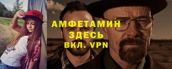 индика Каменка