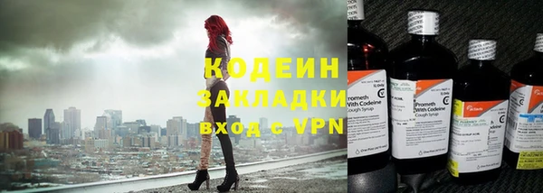 индика Каменка
