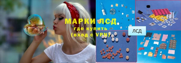 индика Каменка