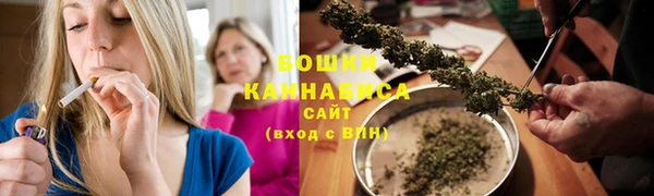 индика Каменка