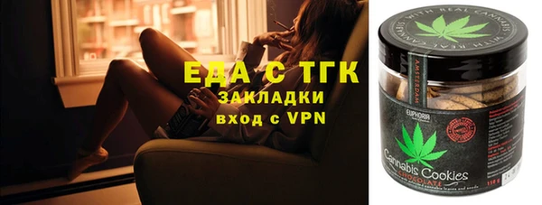 индика Каменка