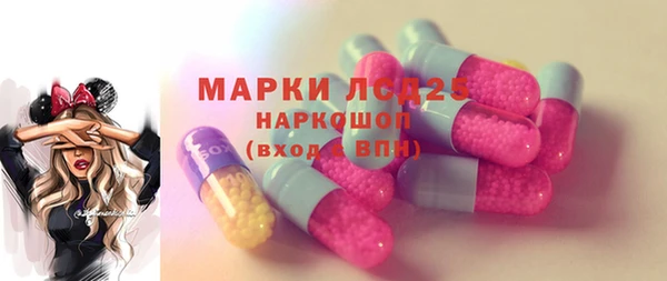 индика Каменка