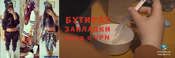 индика Каменка