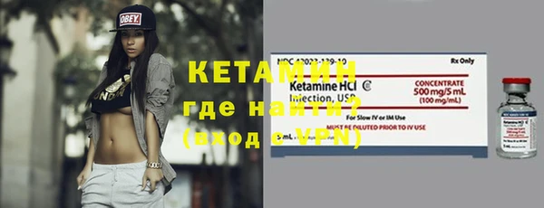 индика Каменка