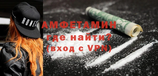индика Каменка