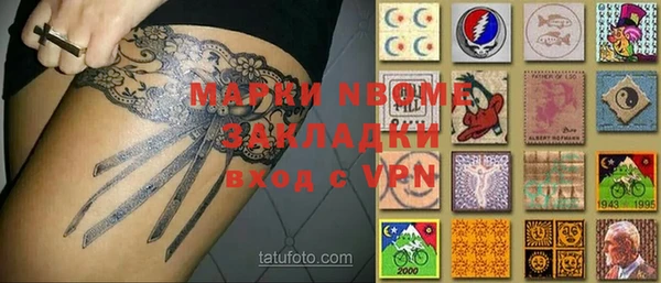 индика Каменка