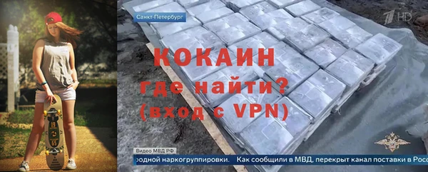 индика Каменка