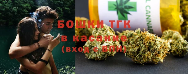 индика Каменка