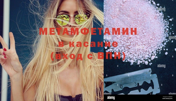 индика Каменка