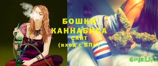 индика Каменка