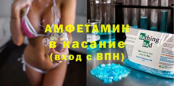 индика Каменка