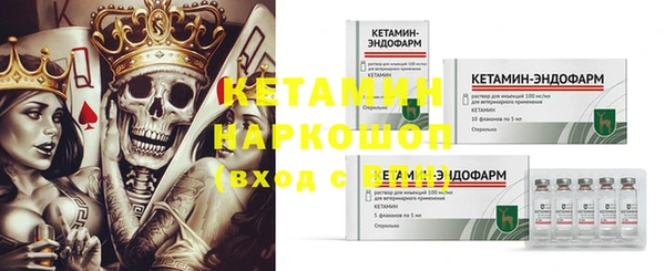 индика Каменка