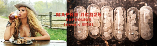 индика Каменка