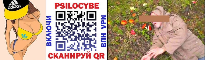 blacksprut ССЫЛКА  купить наркотик  Грозный  shop Telegram  Галлюциногенные грибы Psilocybine cubensis 